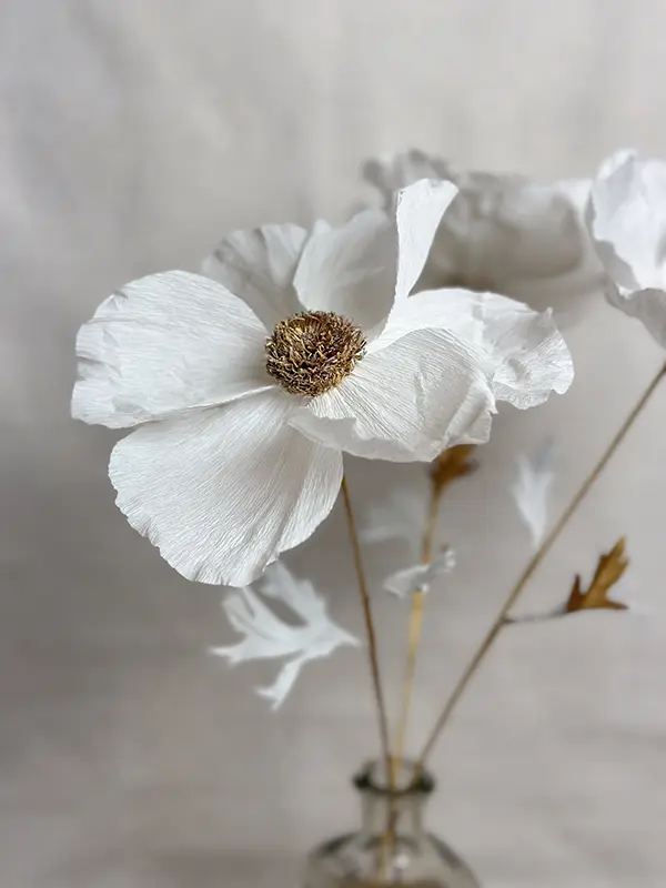 Infini Printemps, Floriculture de papier crêpé, cosmos romney