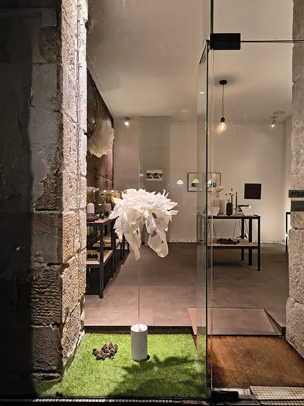 Exposition Résonances Sensibles à la Galerie Morphose du 6 au 30 décembre 2025